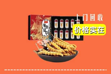 呼和浩特清水河县回收冬虫夏草
