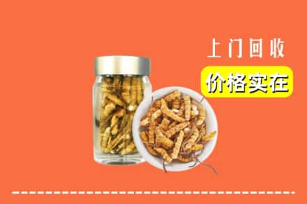 呼和浩特清水河县回收散虫草