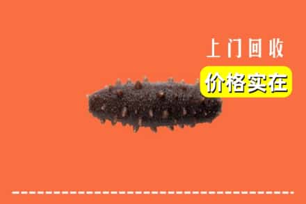 呼和浩特清水河县回收海参