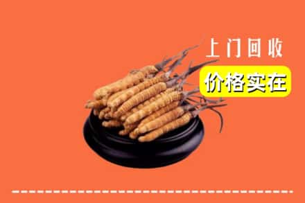 呼和浩特清水河县回收冬虫夏草